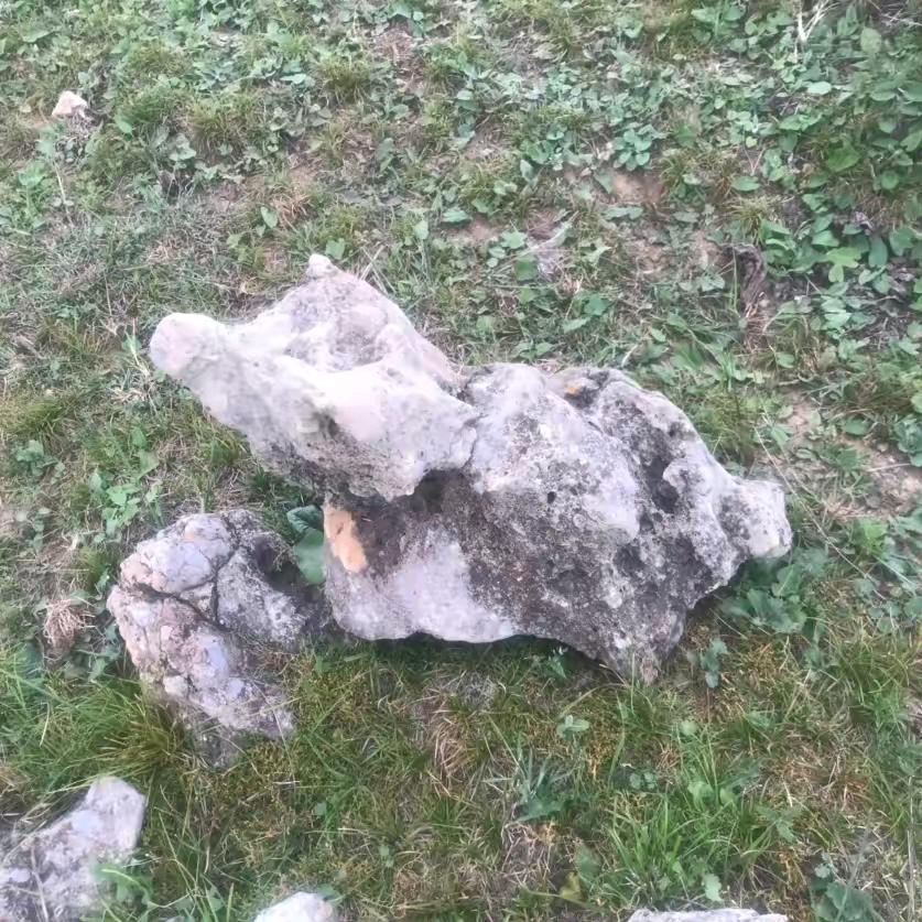 佛手慧能（按摩调理）