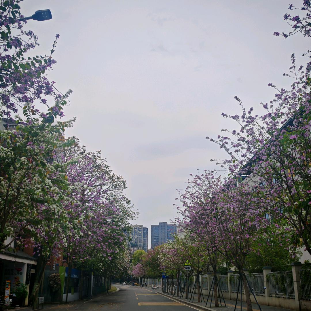 交个朋友,江湖再见