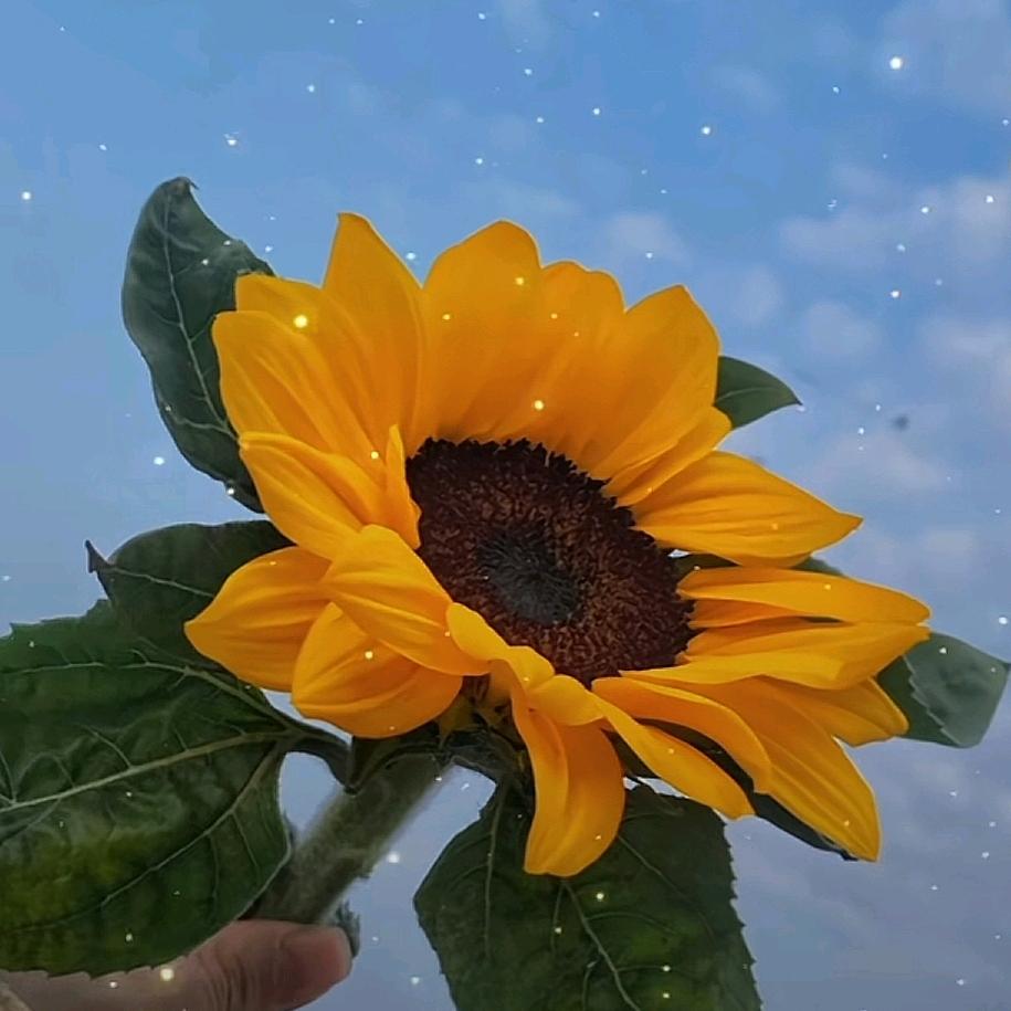 没时间