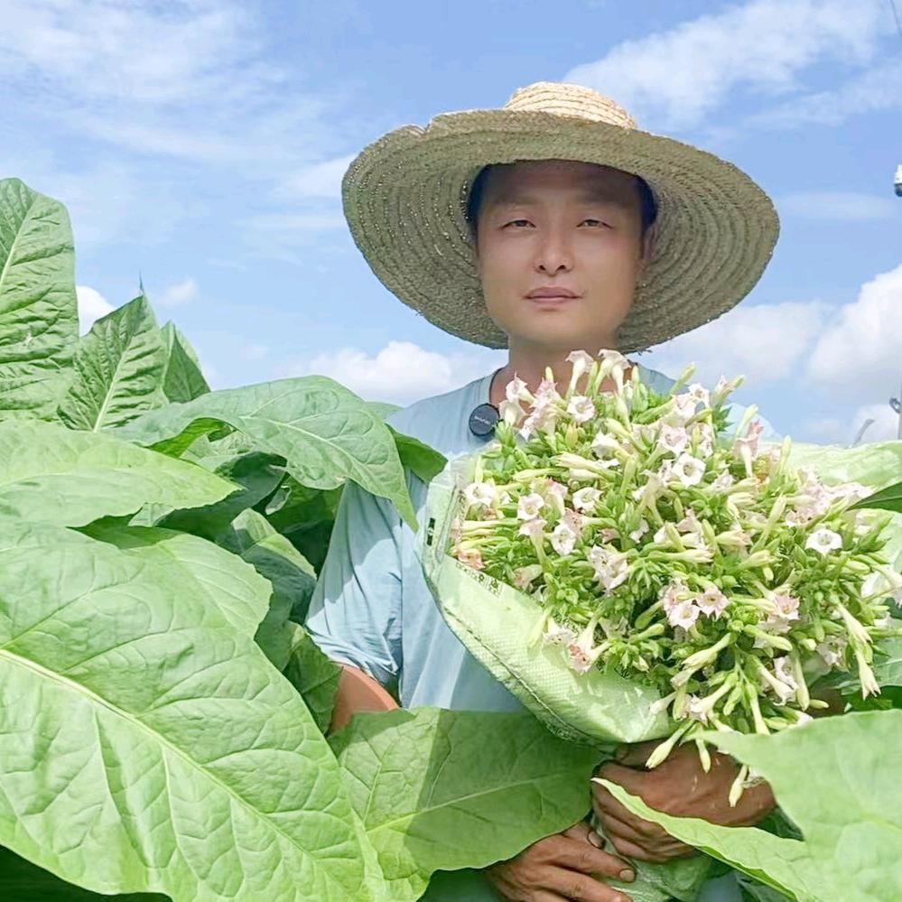 职业烟农（宇猛子）