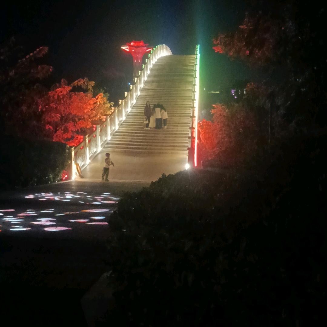 @@老面包子（仁兴）