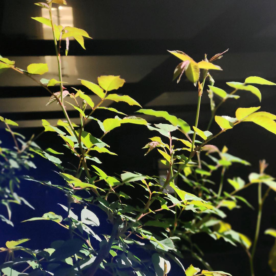 有你真好