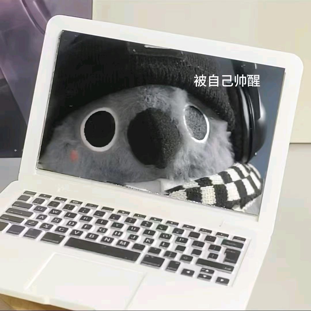 抹茶爆爆