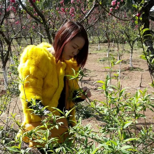 @好运来@