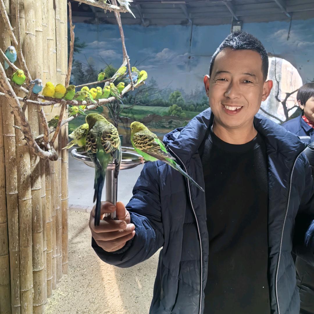 魏县大鹏装饰工程有限公司