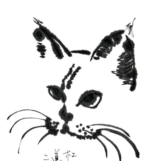 没想好叫什么名字