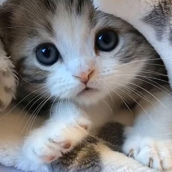 福满家家居地毯地垫