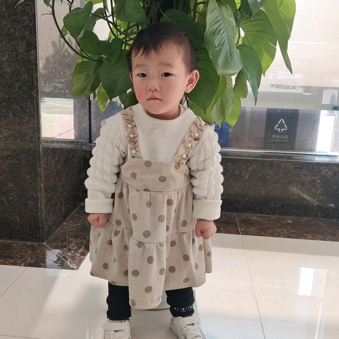 陶氏梅