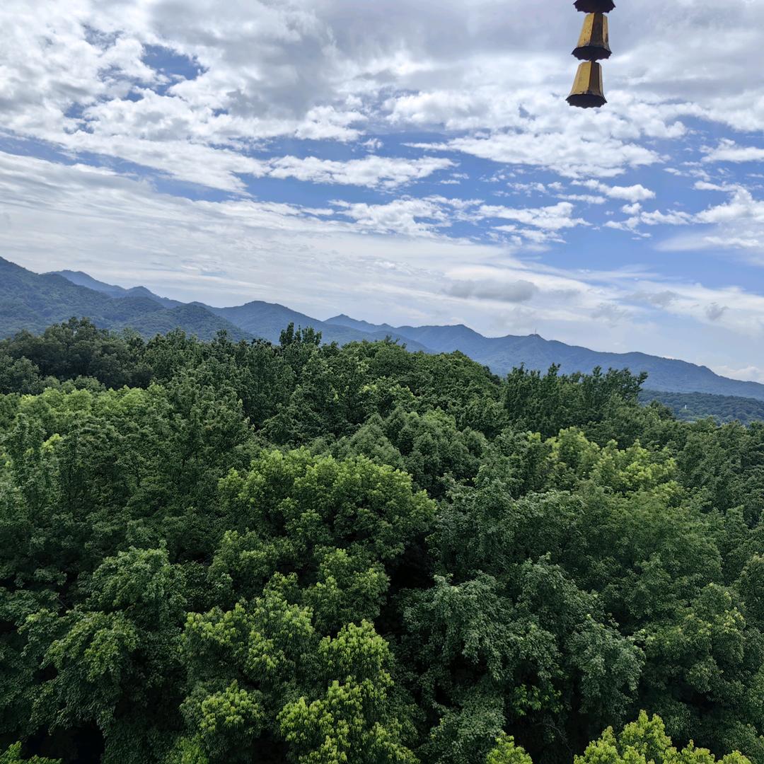 定制你的专属称呼