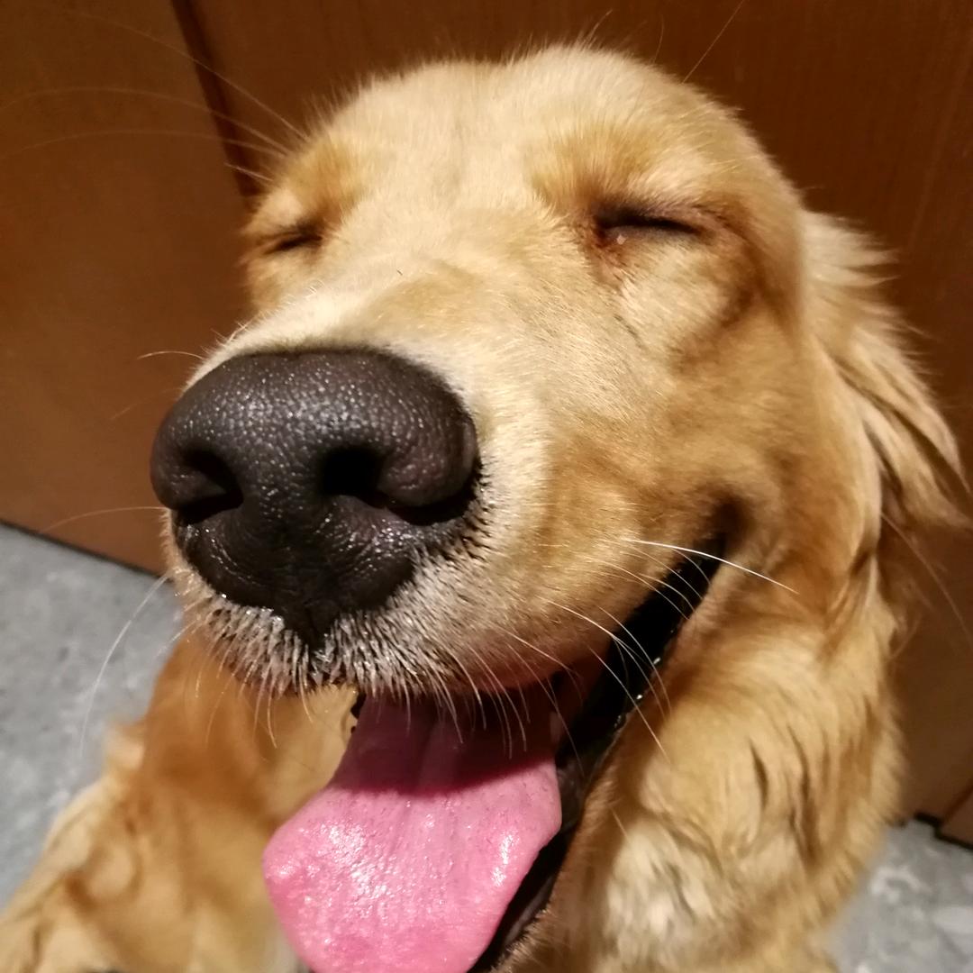 大力的孩子们