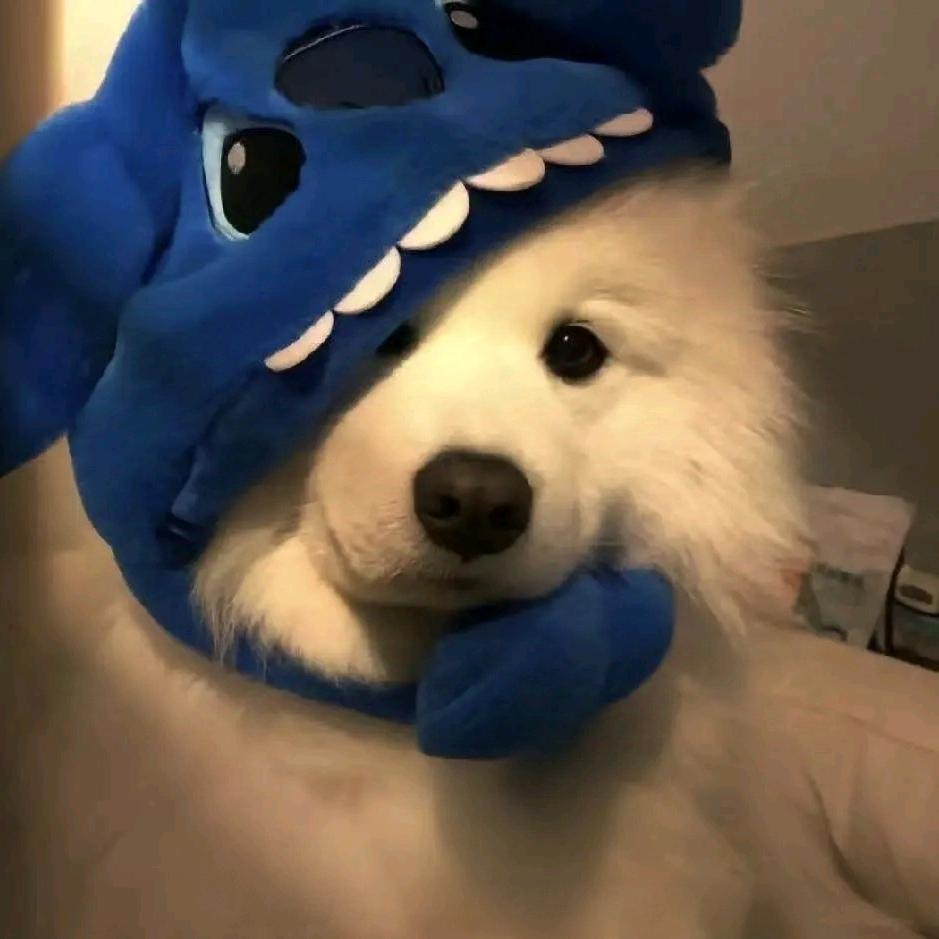 不处