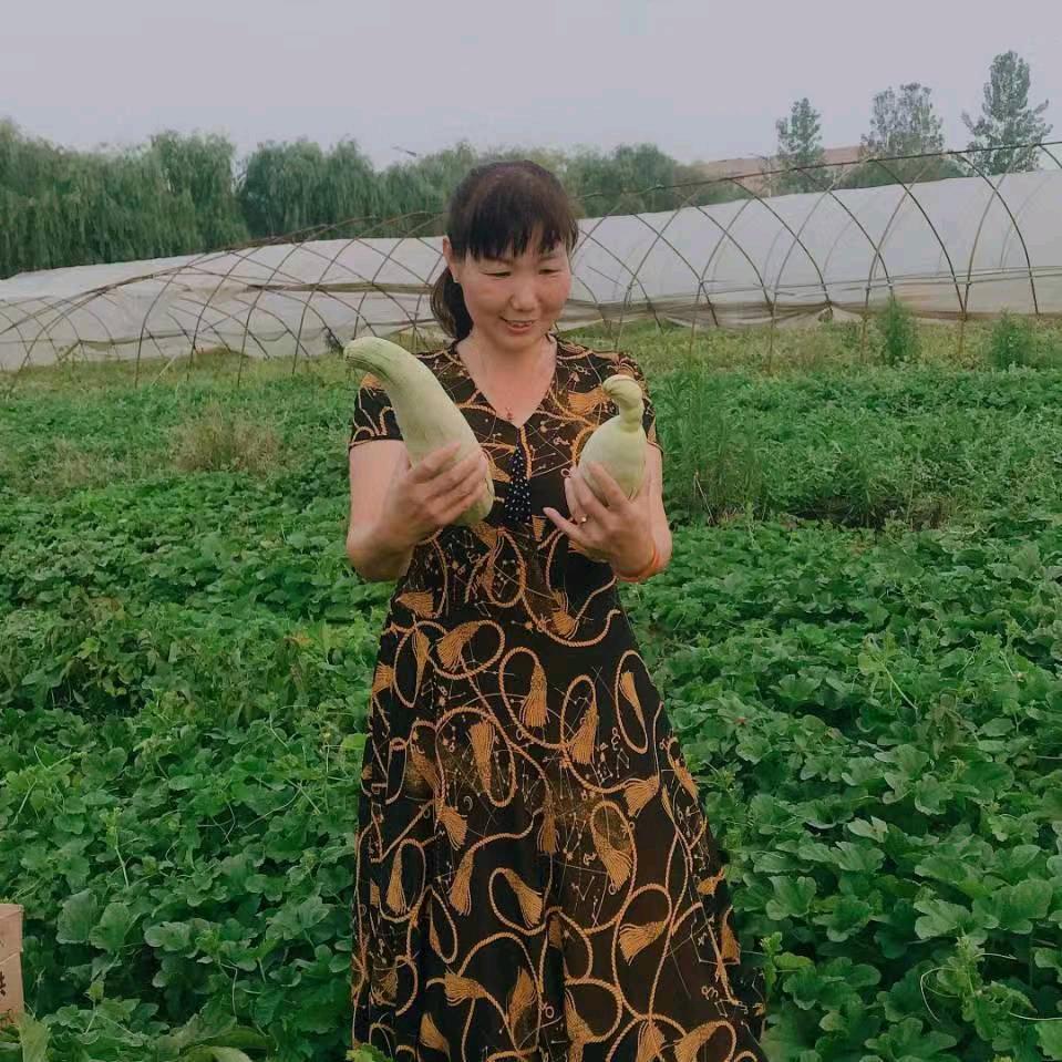 舒城县钱元玲家庭农场