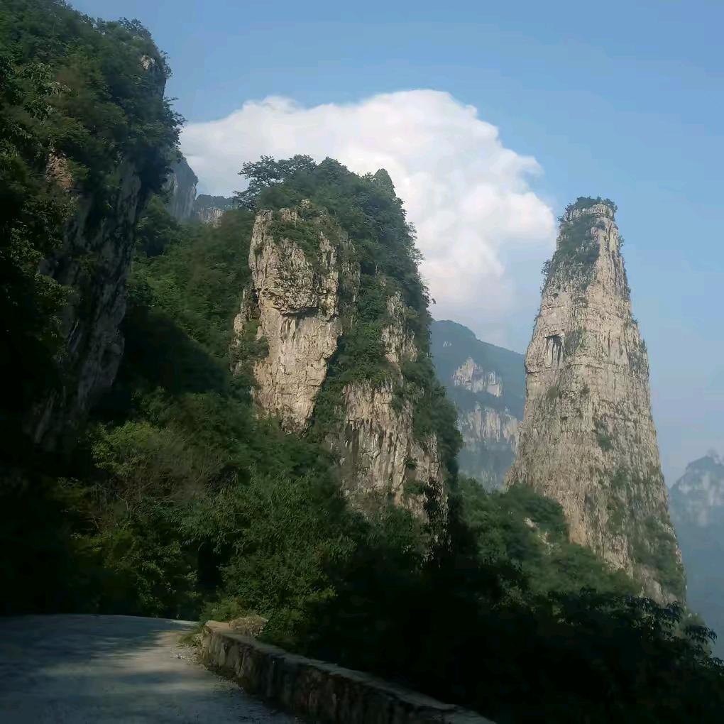 一路有你