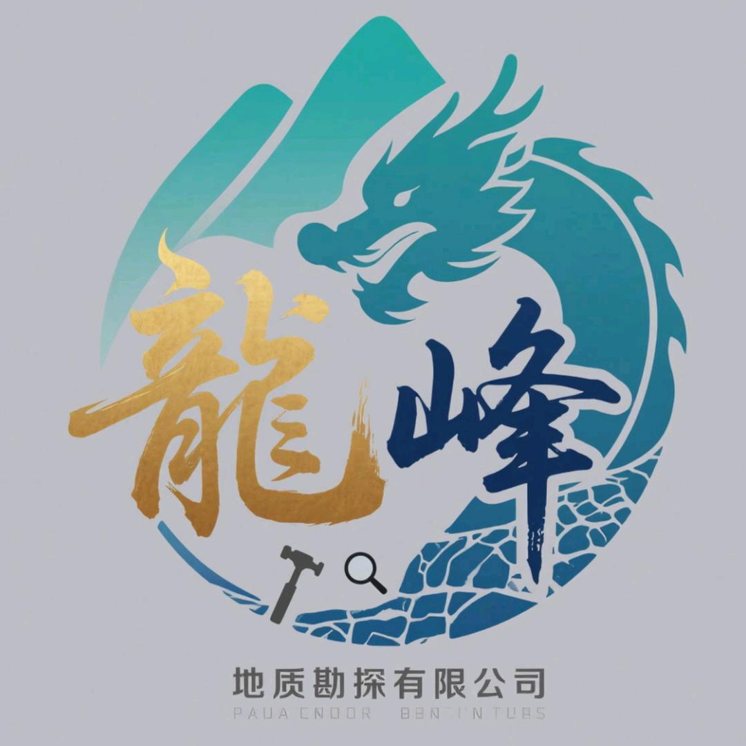 山东龙峰地质勘探有限公司