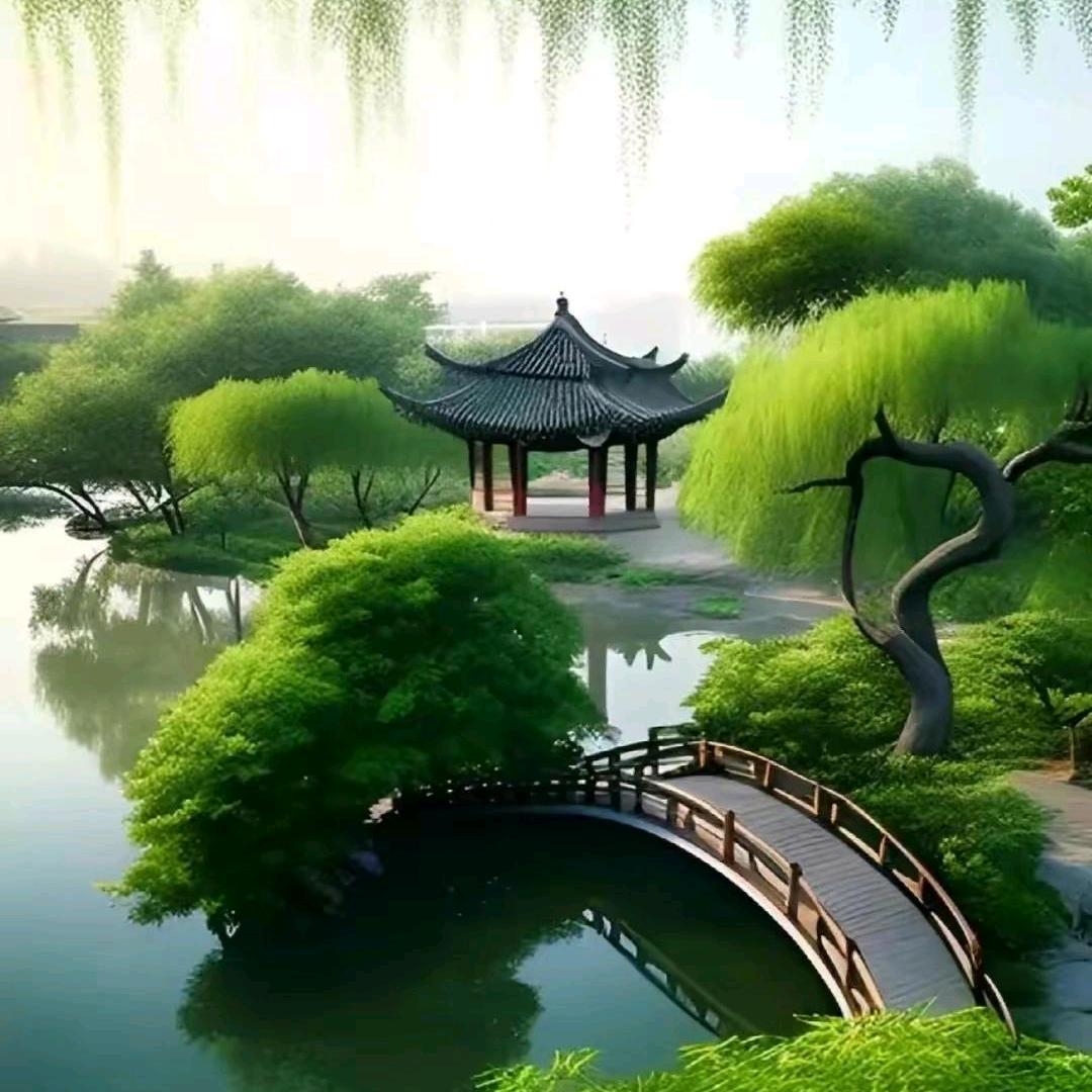 寻找真爱生活号