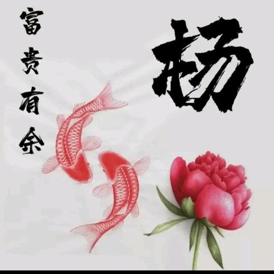 汉语（阿姨）
