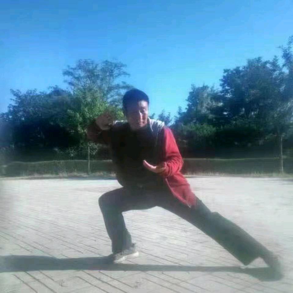 邵家《三位一体》秒杀拳