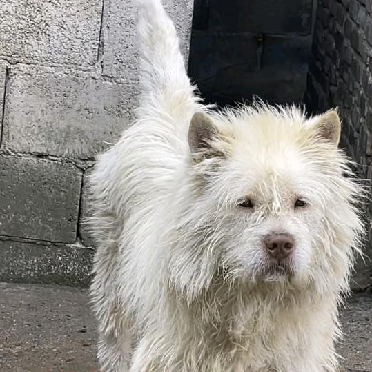 东哥→心宽路顺