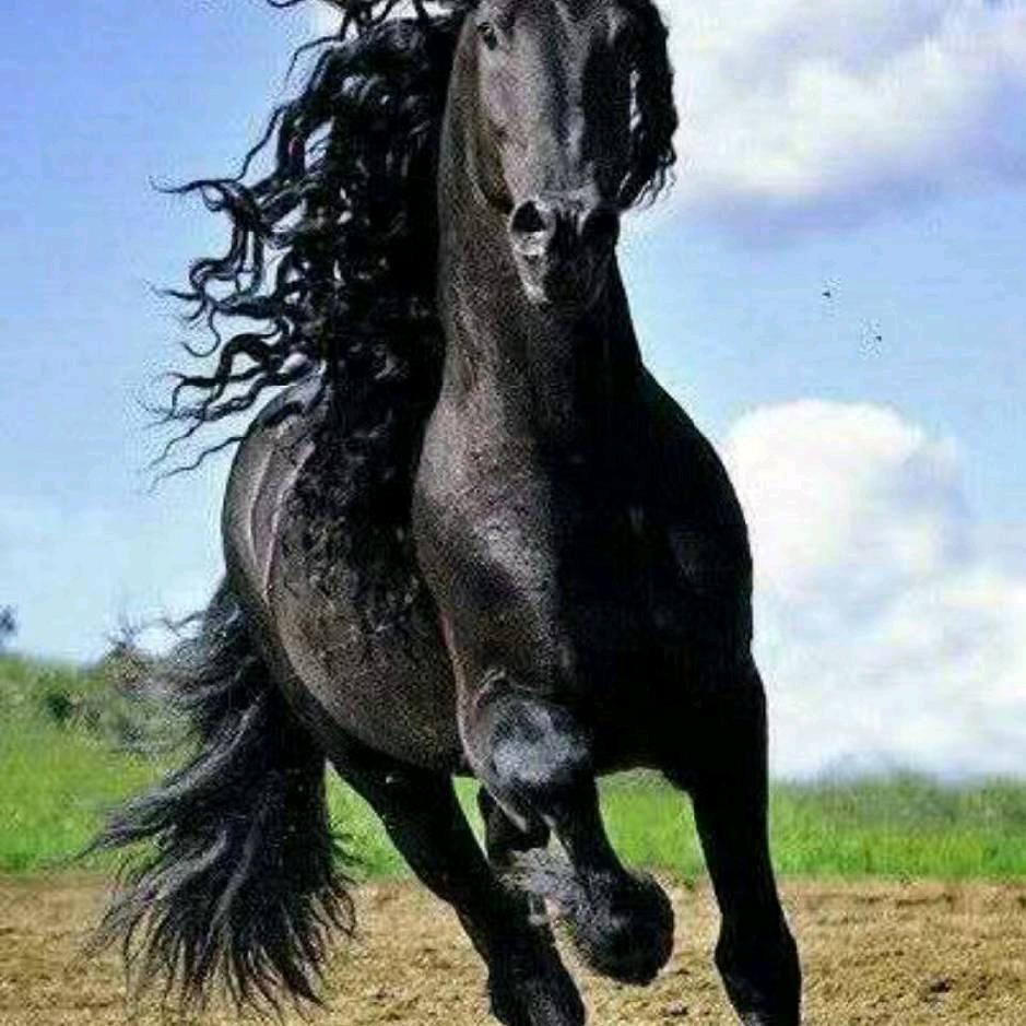 用户7662025148602