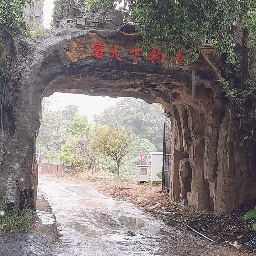 老虎仔
