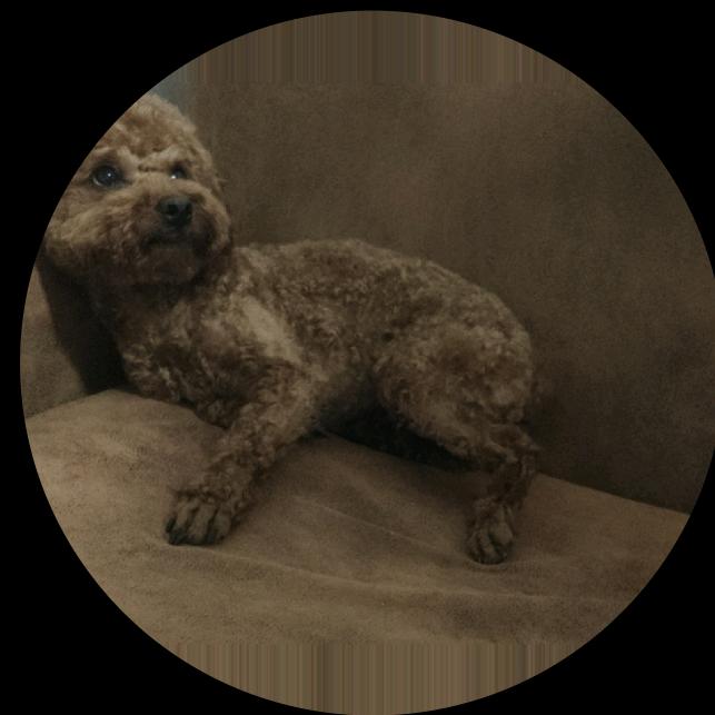 薄荷奶油灌汤包@