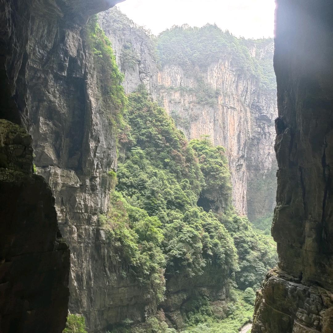 真心对待每一天。