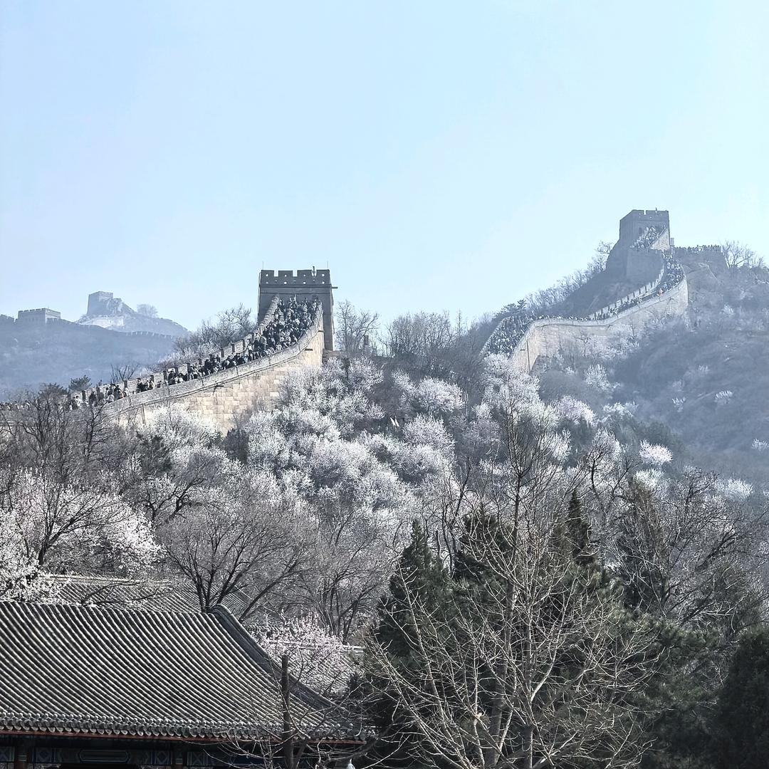 义乌市流翎电子商务商行（个体工商户）的头像