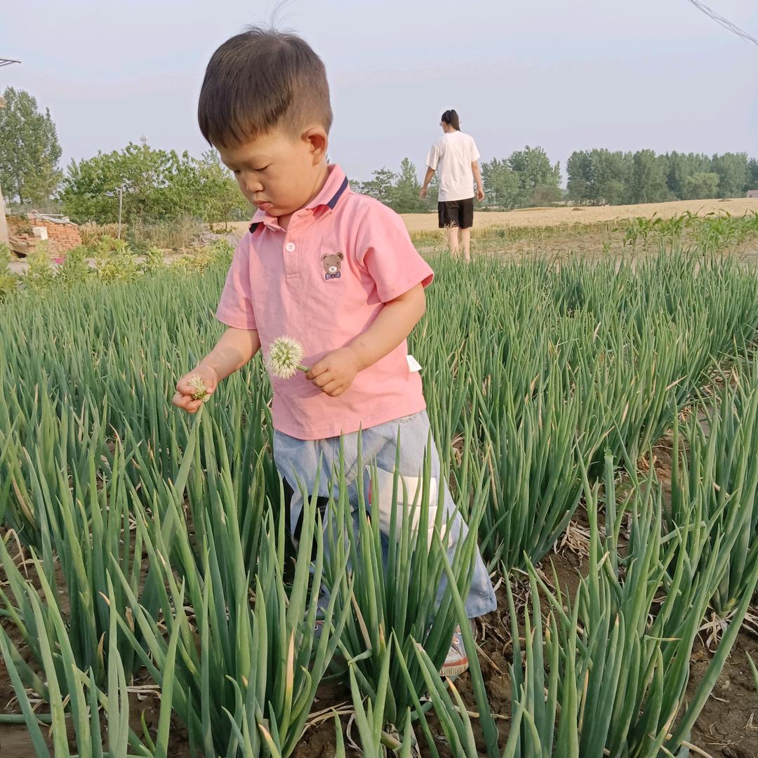 我爱吃菜