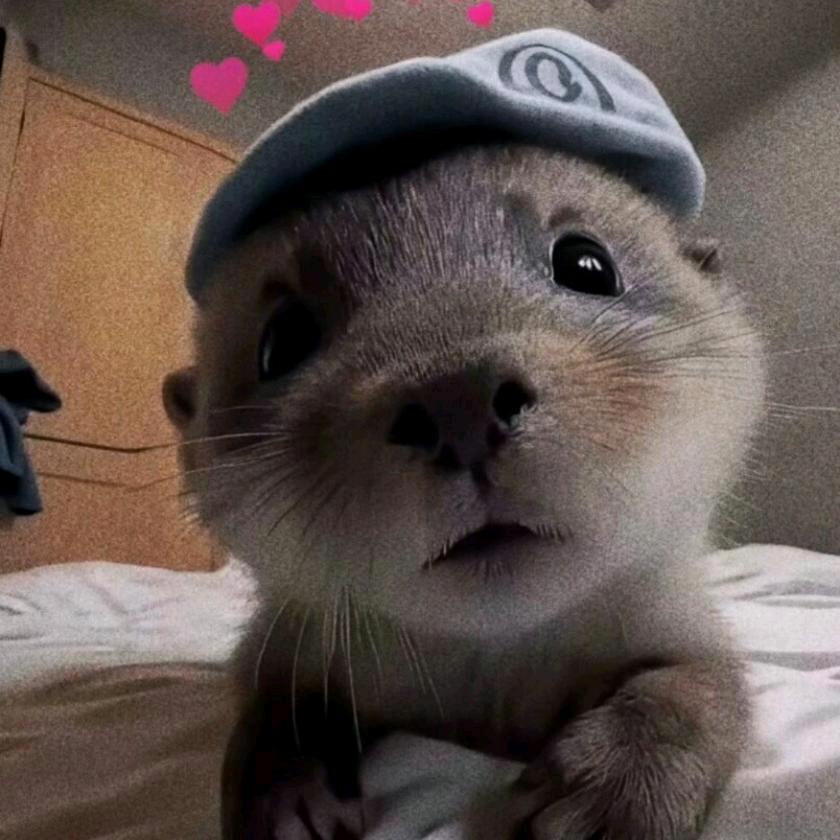 老公ㅤㅤㅤㅤㅤㅤㅤㅤ