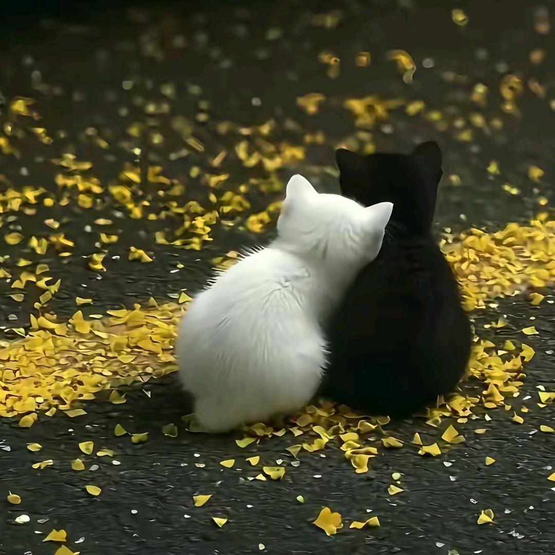 冷眼看世界