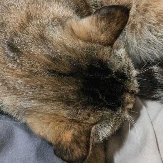 孤魂野鬼