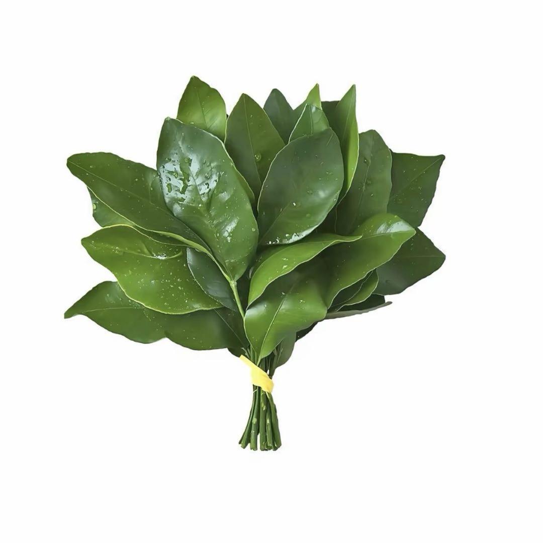 ꫛ小情绪꧔ꦿ᭄