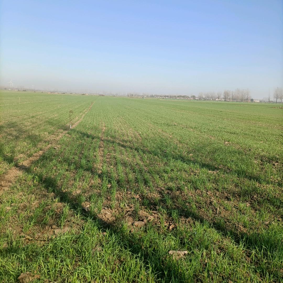 用户王朝斌8132032384615