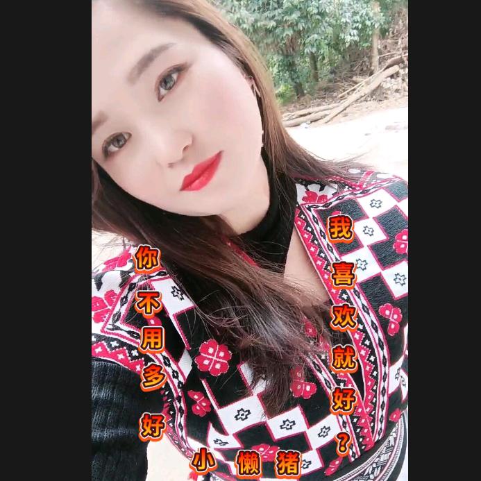 《阿 敏 是 苗 族》