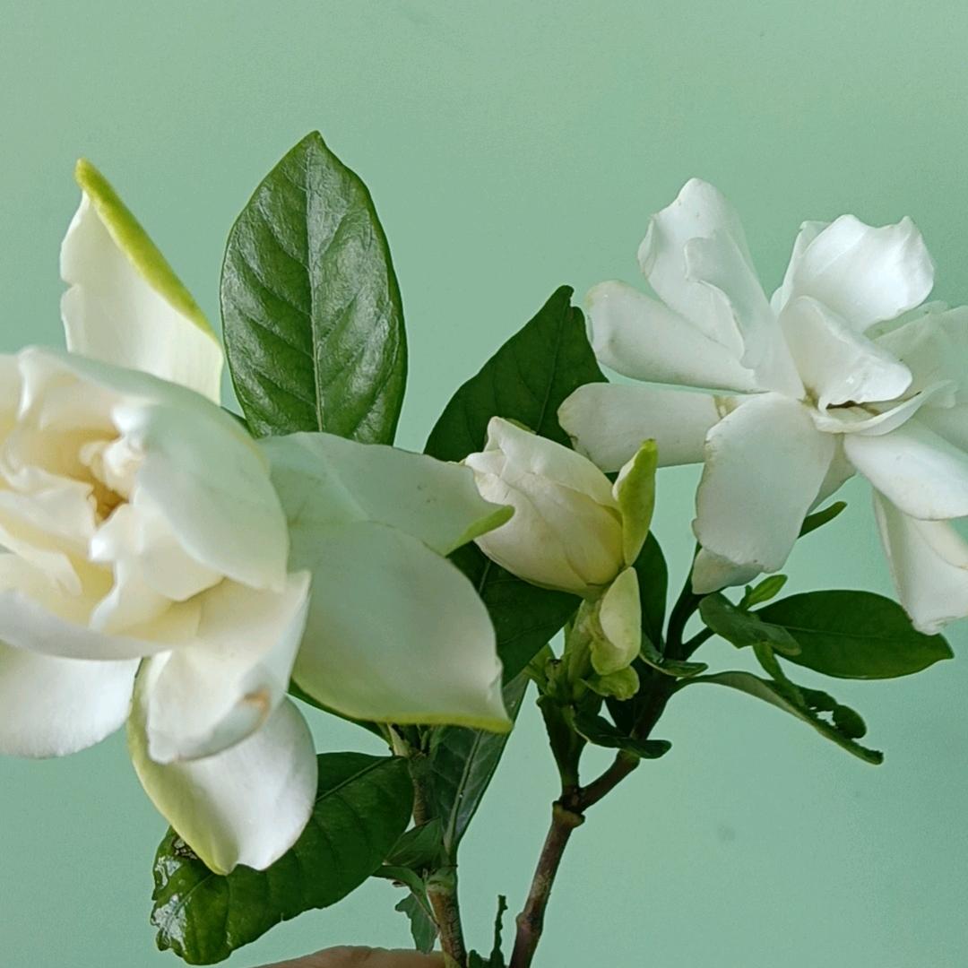 一米阳光（拒绝私聊）