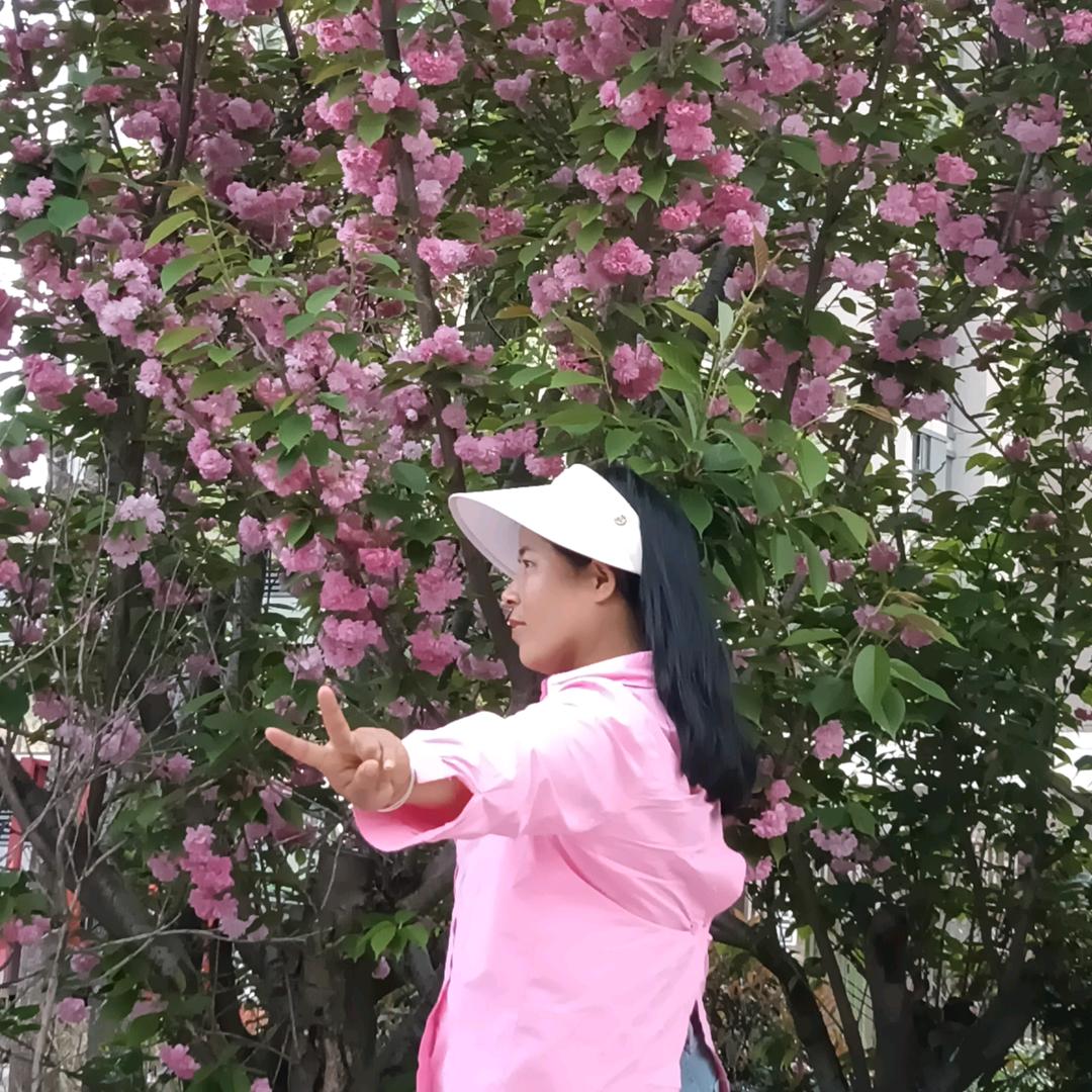 心愿纷飞