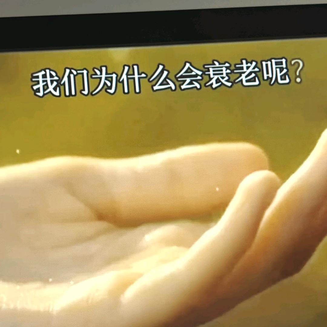 健康管理系统