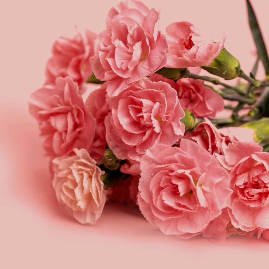 @李先生的于菇凉🌹