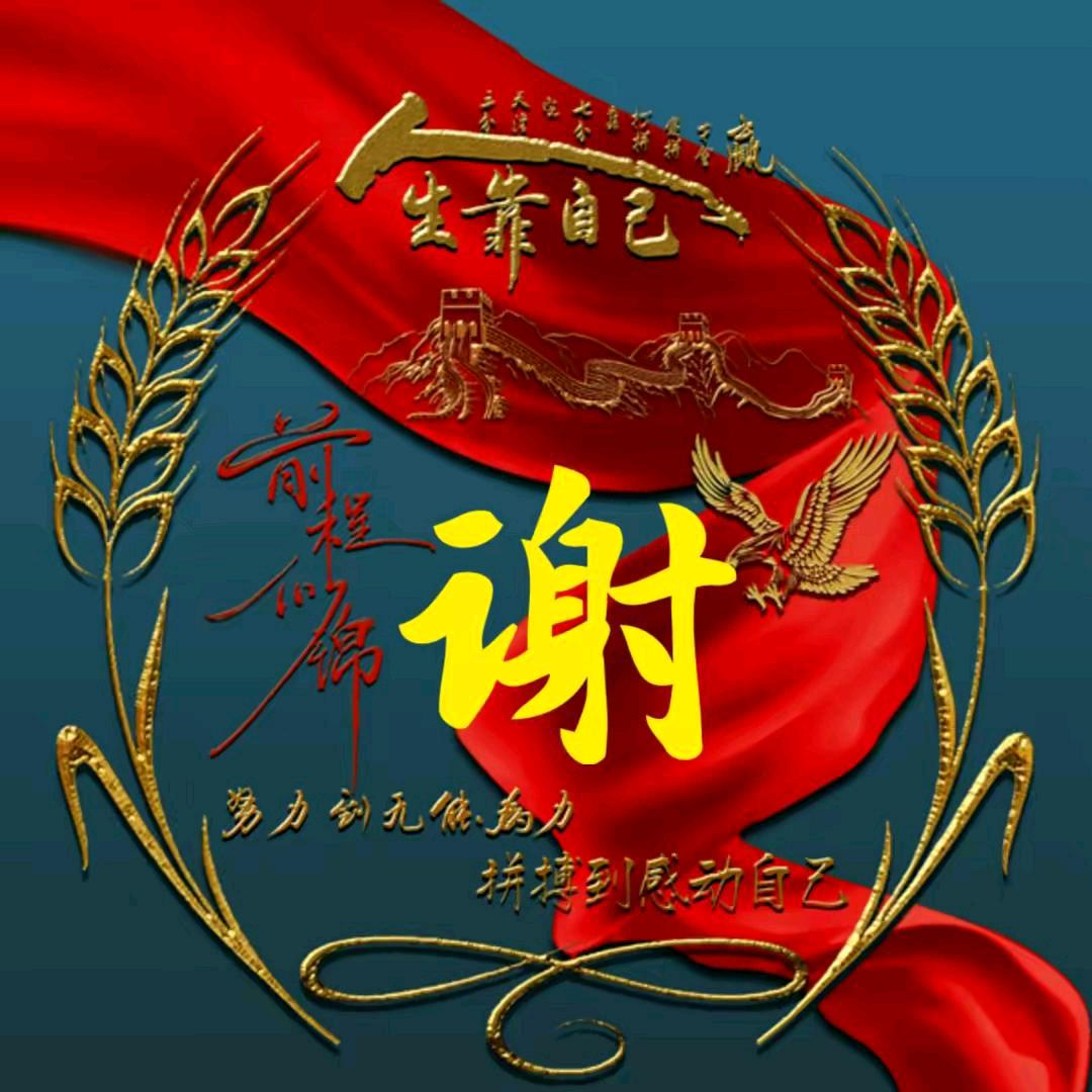 谢王波