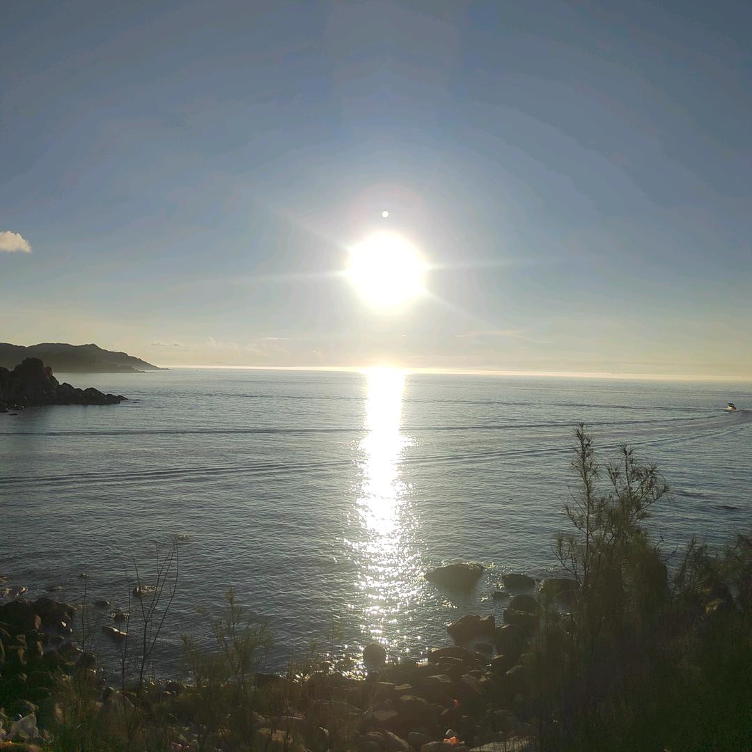 小十三日常分享