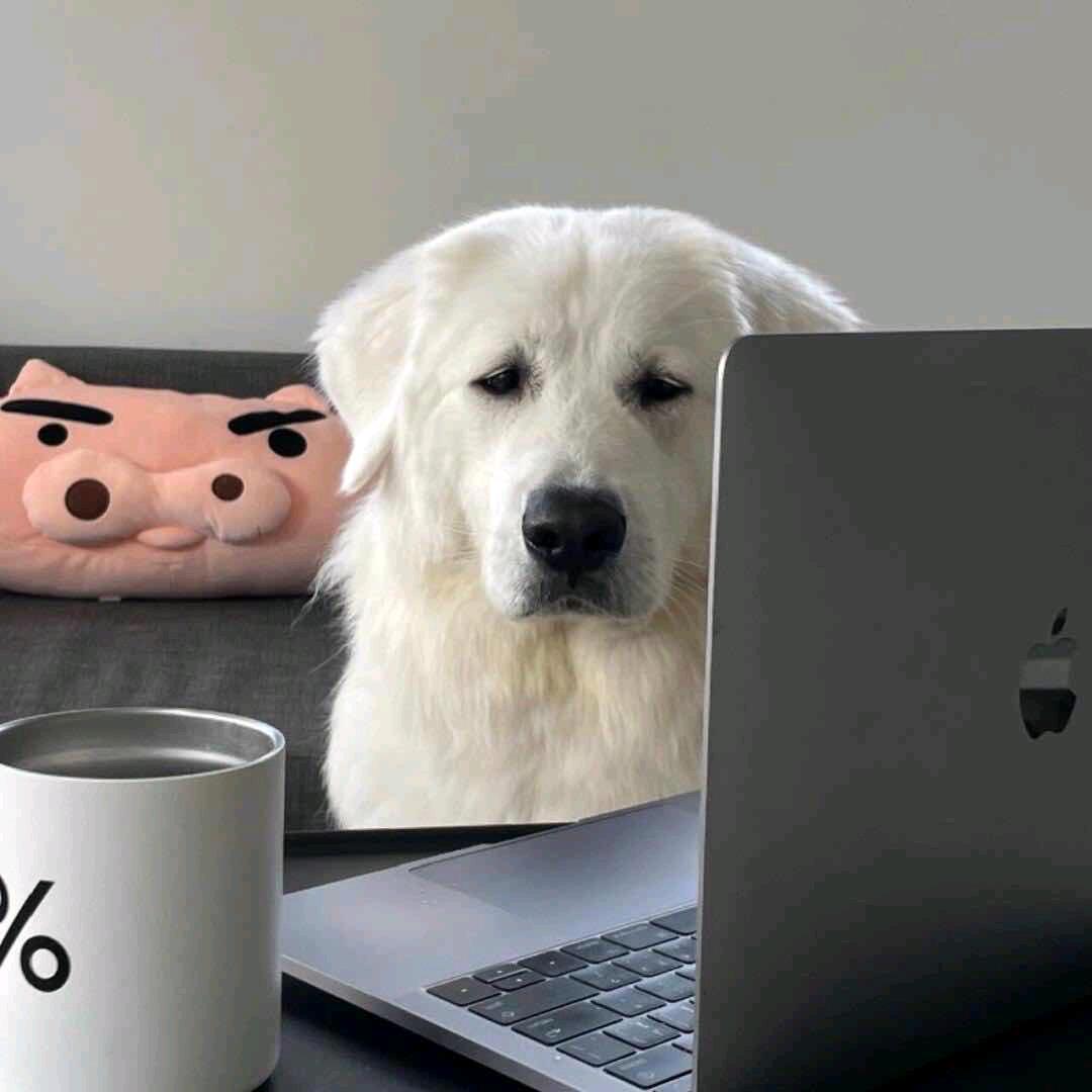 何时归故里丶