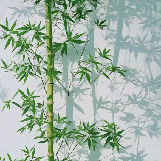 ✨小幸运✨