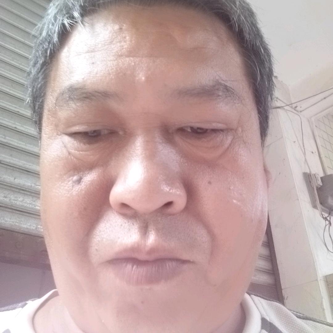 随风飘′杨