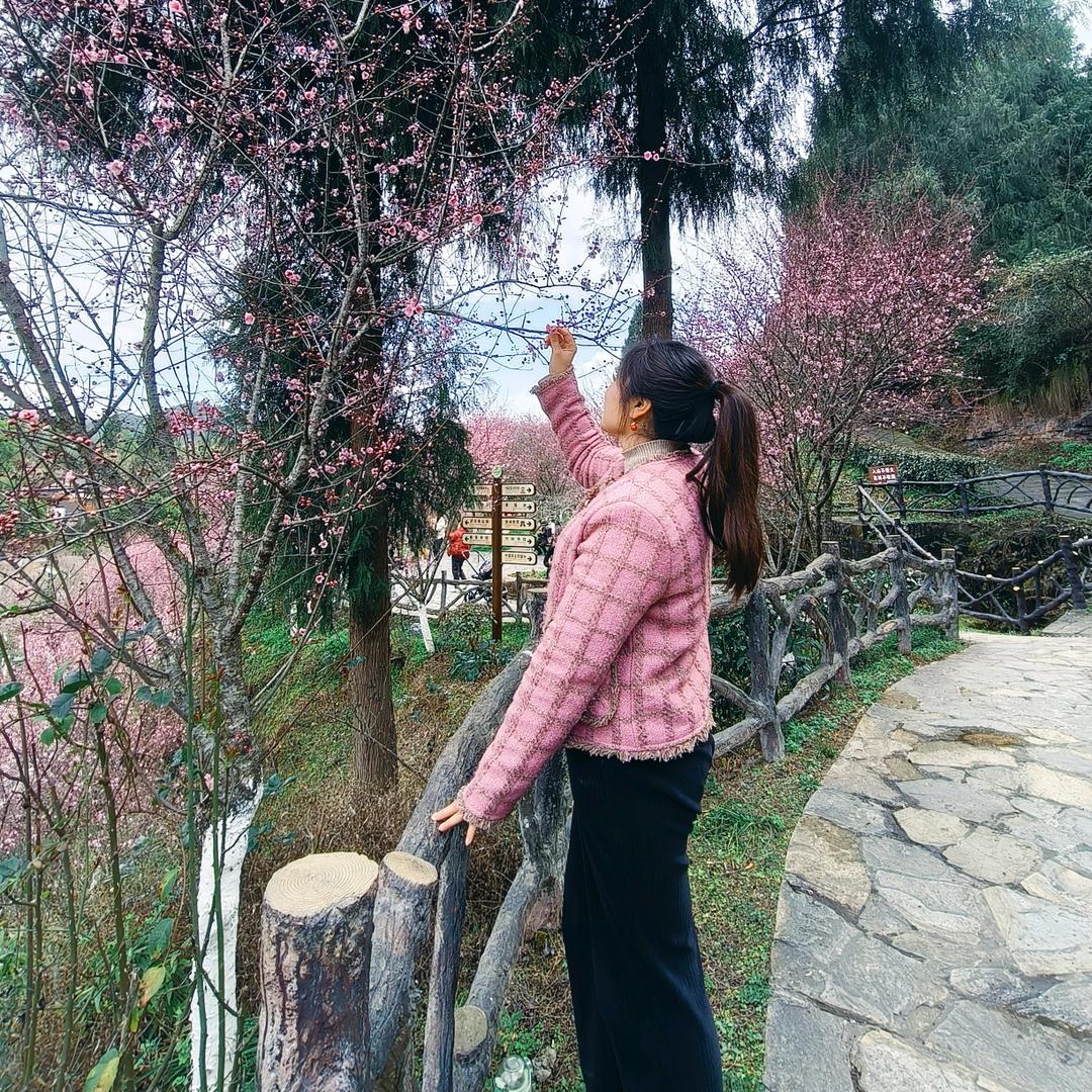 苡茉