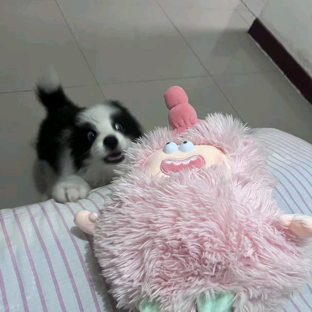 葸