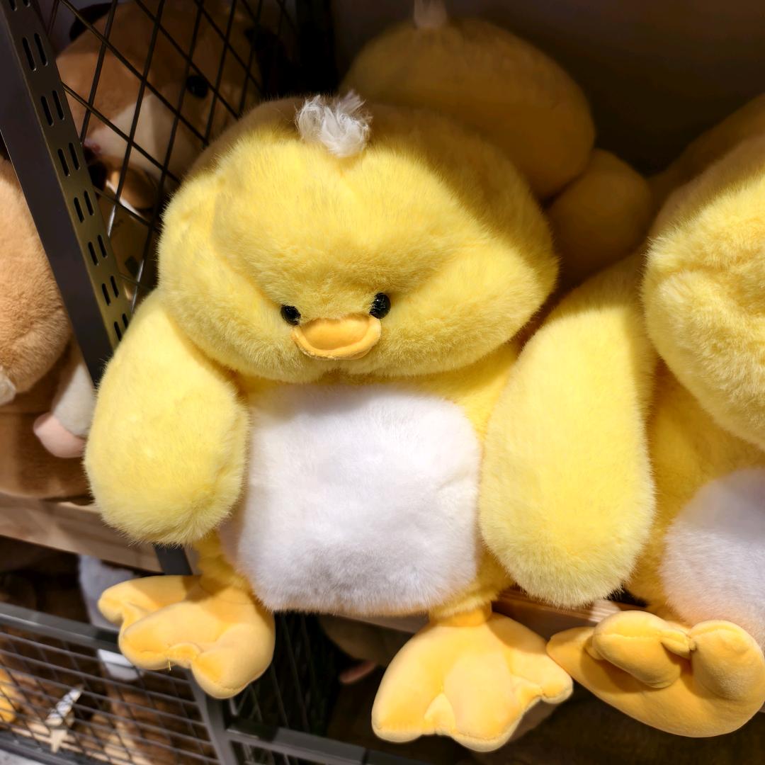 没想好吃什么📷