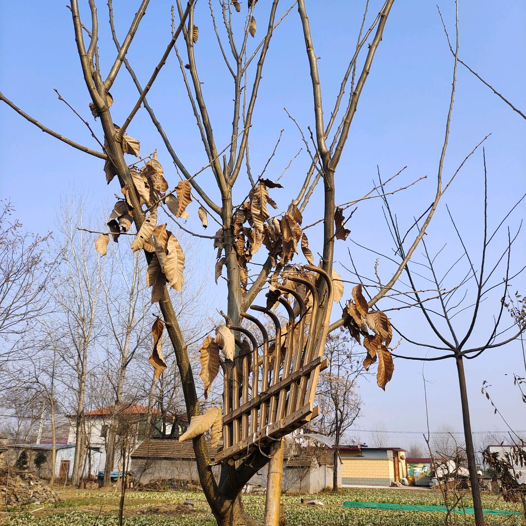 潇洒快乐