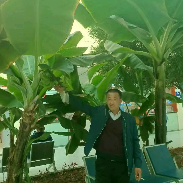 XX平