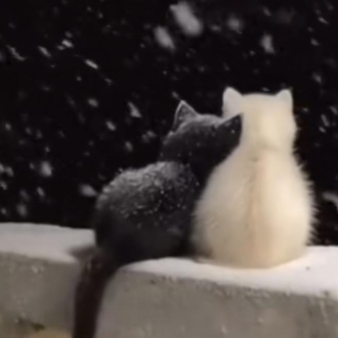 墨白教育汪老师