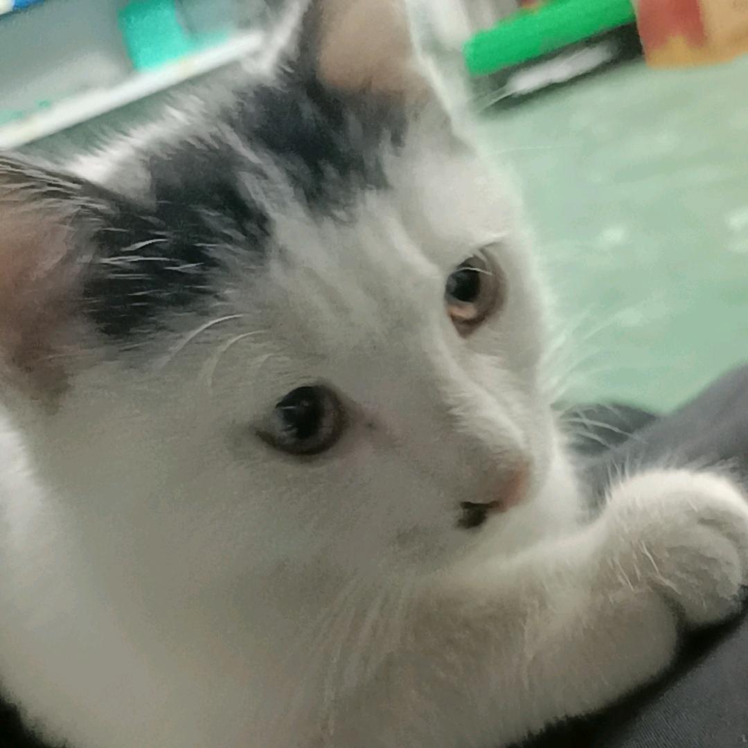 啊奶(@_@)